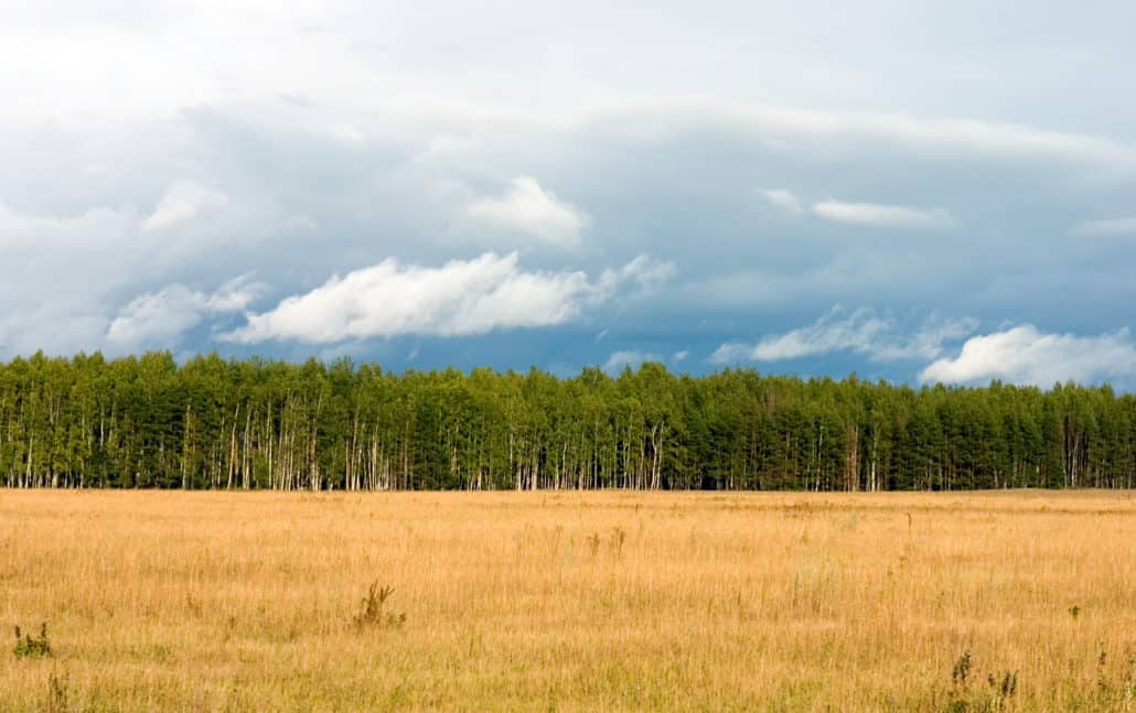 Summer landscape CGRS summer landscape