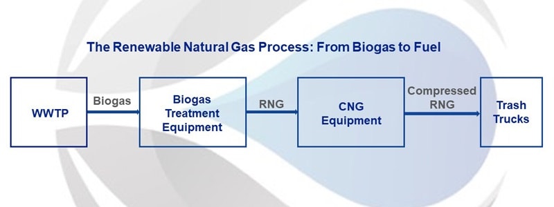 RNG Process - CGRS